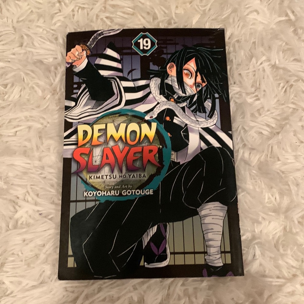 Demon slayer manga, volume 19